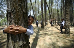 Ôm cây... bảo vệ môi trường tại Nepal